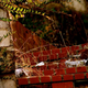 Illustration for article titled Shooting Challenge: Urban Decay 2